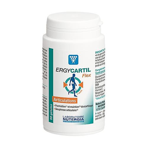 Ergycartil flex joints 90 capsules