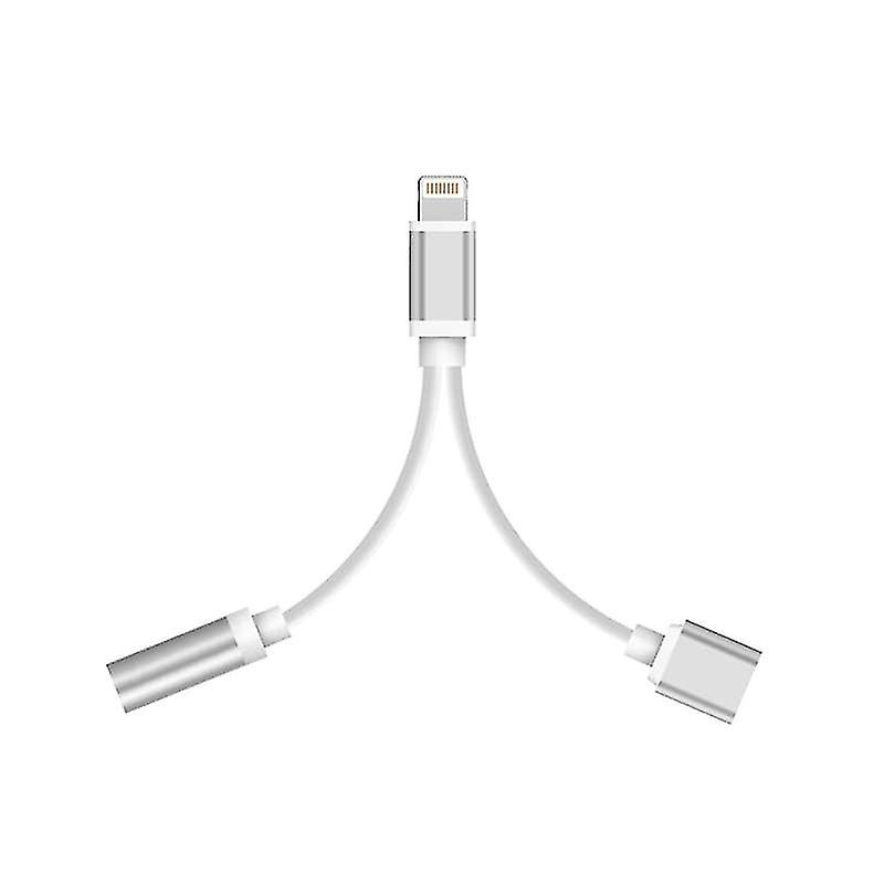 Lightning Adapter-2in1 met 3,5 mm