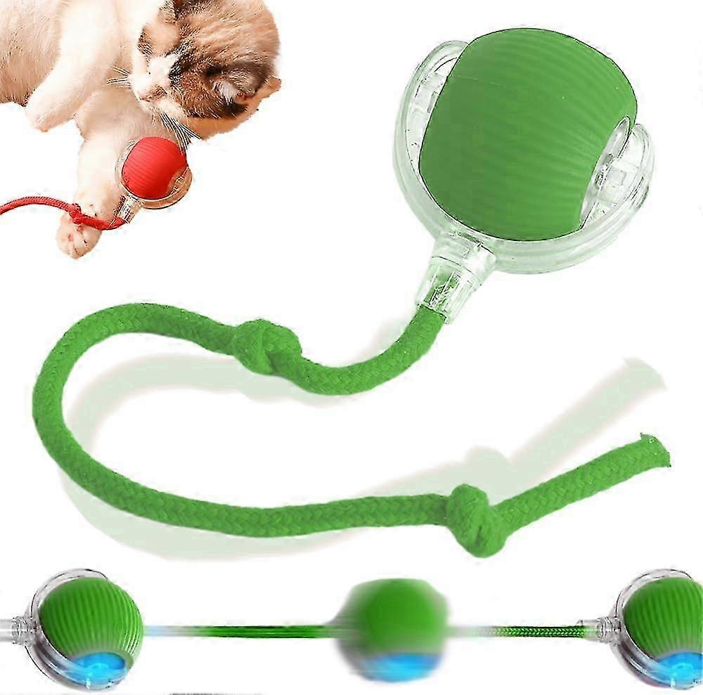 Smart Automatic Rolling Interactive Dog and Cat Toy with Electric Power