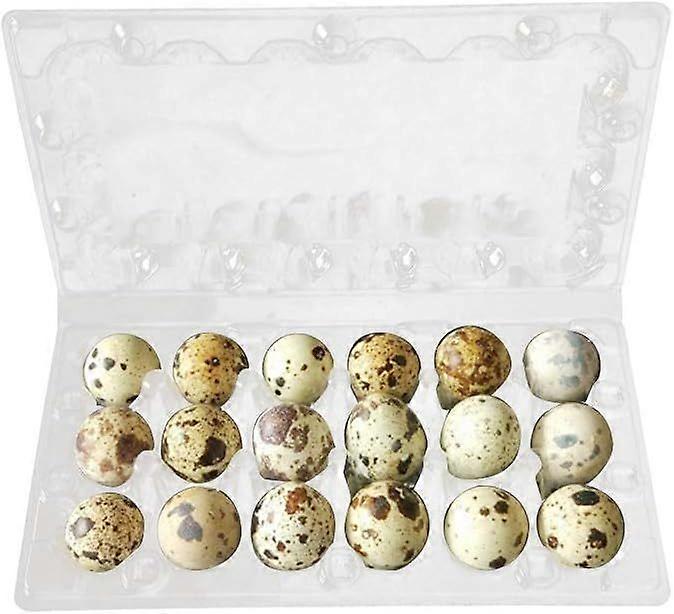 Bestonzon 50pcs Clear PVC Quail Egg Storage Boxes