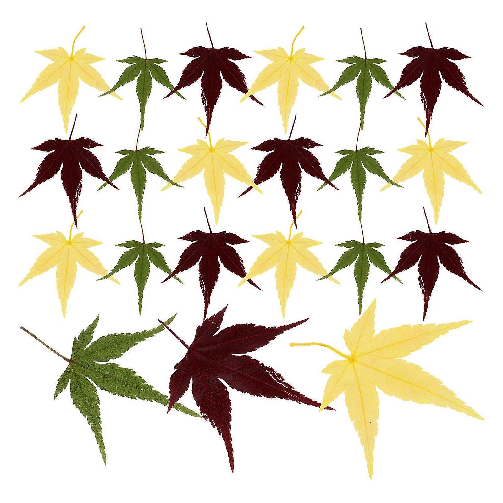 Assorted Color Maple Leaf Decoration for Sushi Serving 60Pcs Leaves
