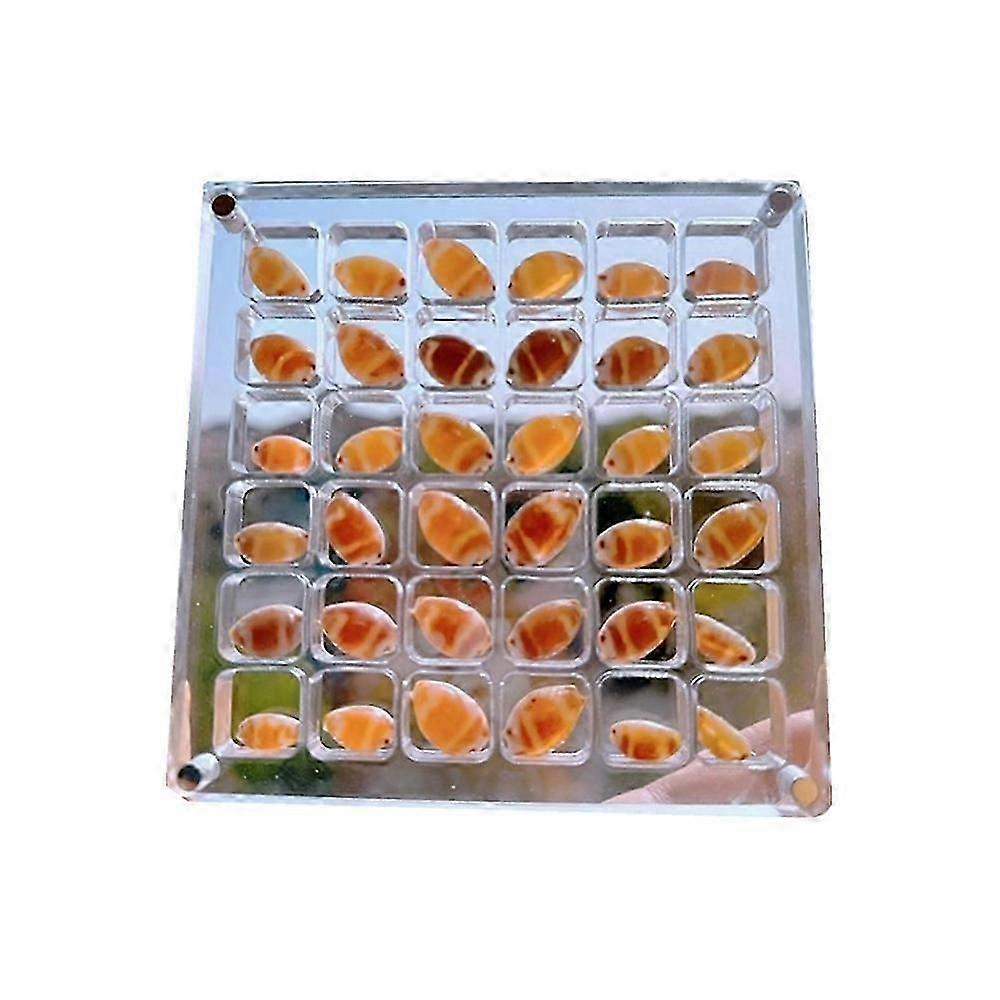 Acrylic Magnetic Seashell Display Box, 36-100 Grids Clear Gemstone Beads Storage