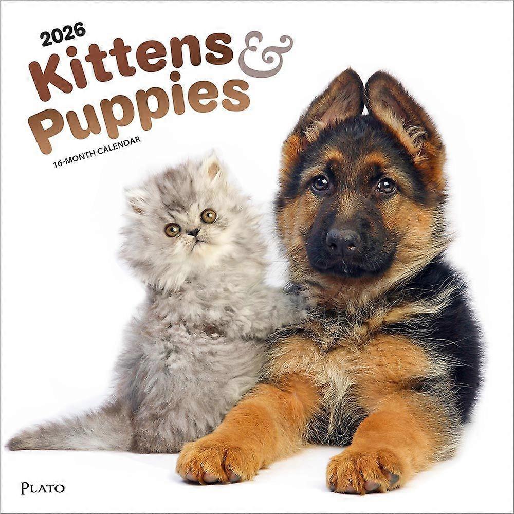 Browntrout Browntrout Kittens And Puppies Calendar 2026