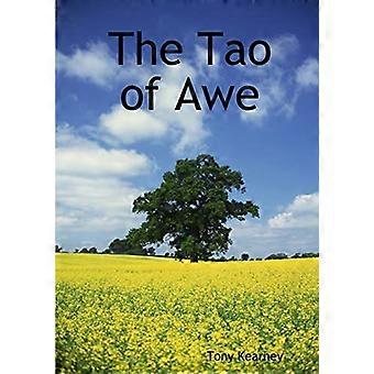 Il Tao di Awe
