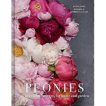 Peonies Beautiful varieties for home and garden
