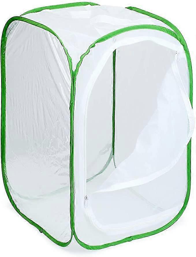 Foldable Insect Cage, Three Sizes