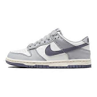 Nike Dunk Low Platinum Tint Light Carbon GS FB9109-101