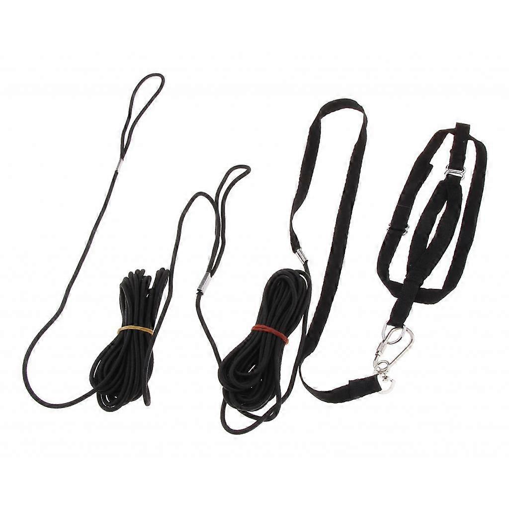 Bird Tableware with Leash Set