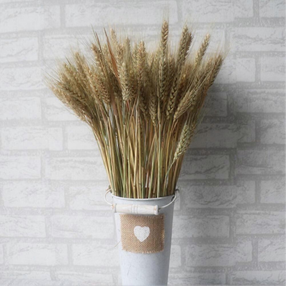 100pcs القمح الطبيعي الاصطناعي الزهور المجففة باقة محاكاة ديكور النبات