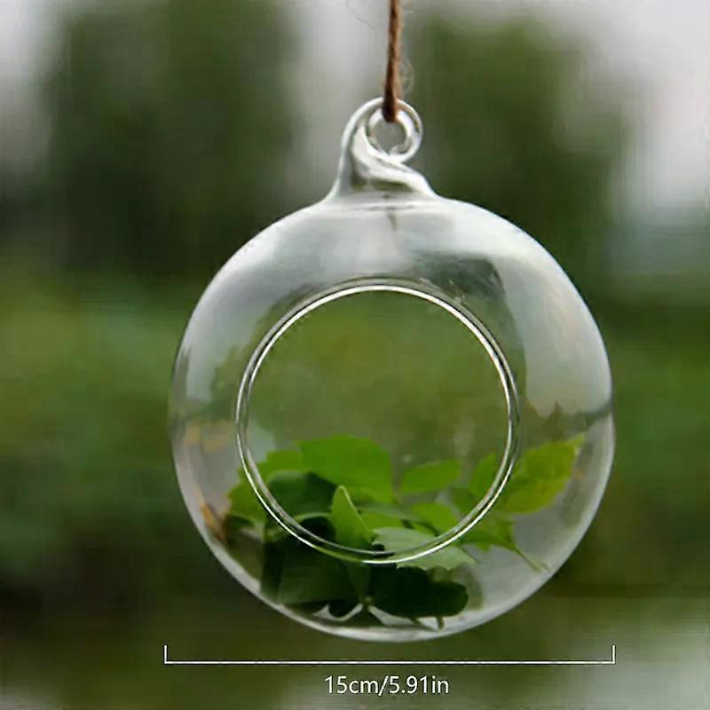 Läpinäkyvä lasimaljakko Kasvi Luova Riippuva Lasipallo Kukkamaljakko Terraario Säiliö Kotitoimiston sisustus Riippuva Koristeellinen