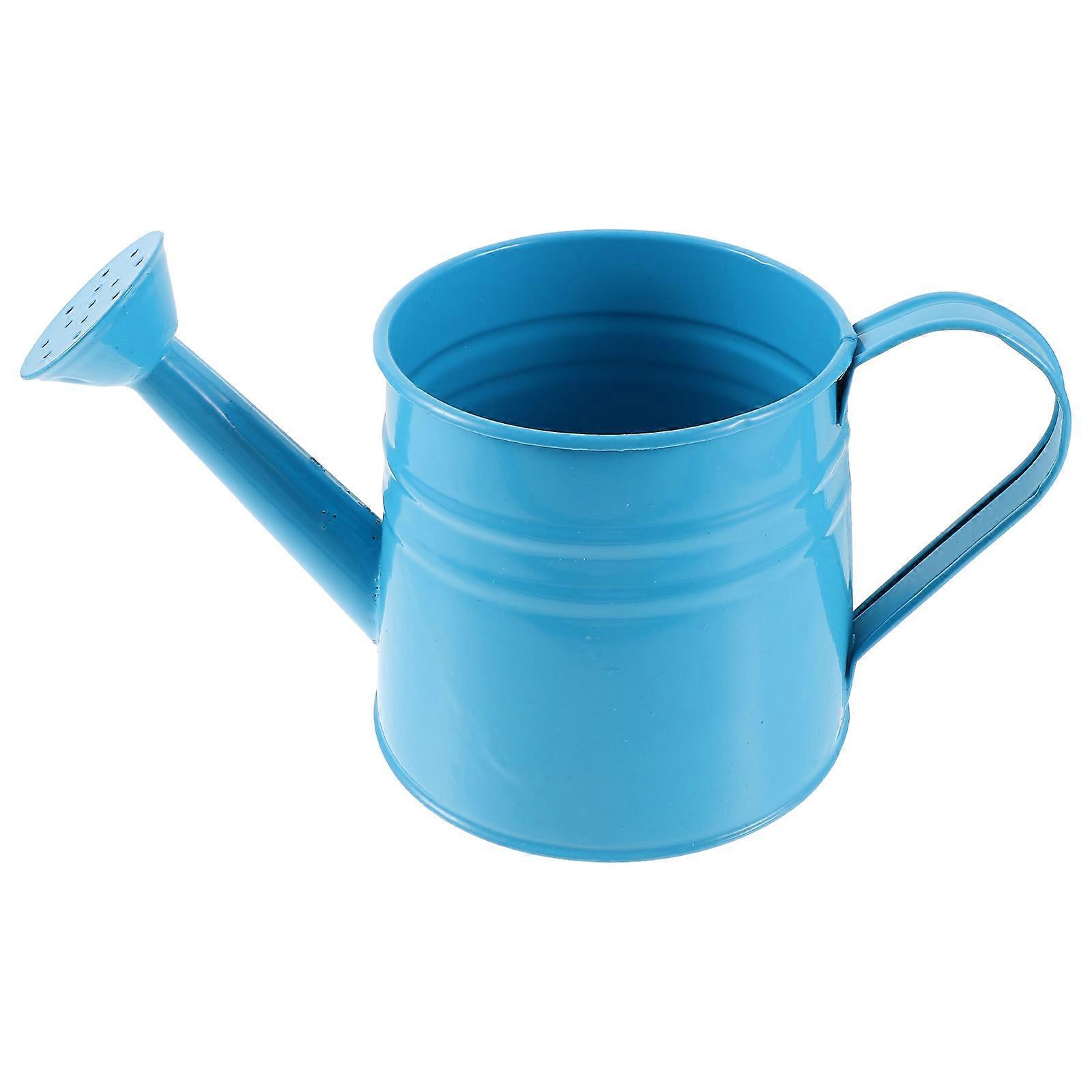 Watering Can with Ergonomic Handle, Great for All Flowers