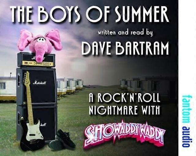 The Boys Of Summer by Dave Bartram CDAudio Book