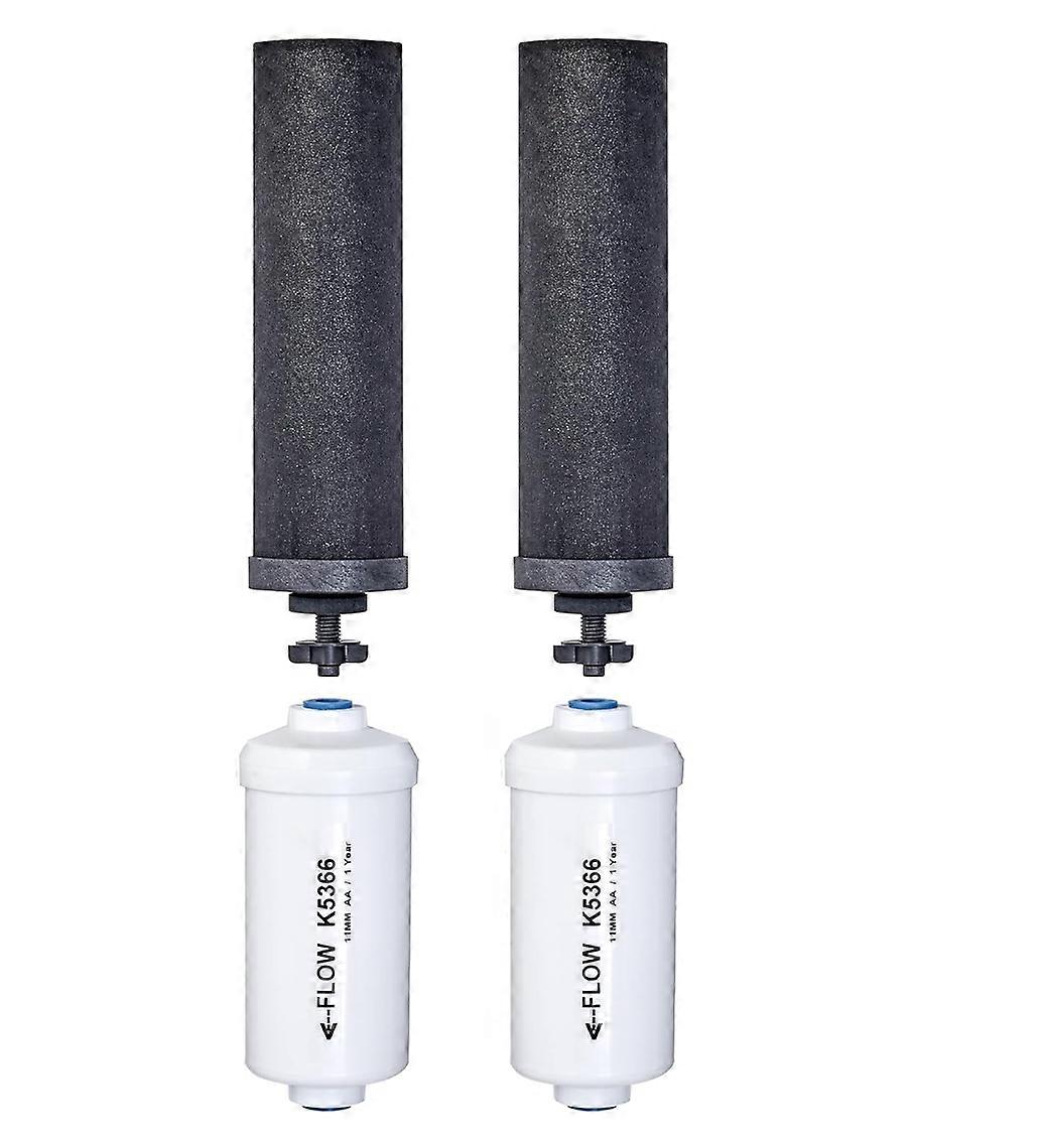  Berkey Authentic Black Berkey Elements (BB9-2) and 2 PF-2 Fluoride Reduction Elements - Combo Pack,Set of 2