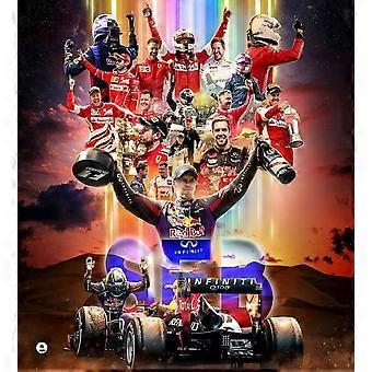 F1: Sebastian Vettel wins four consecutive titles. Immersive Jigsaw Puzzles DS-244