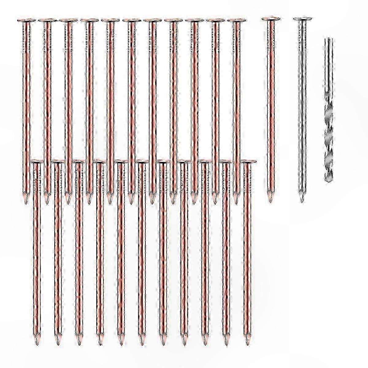 Professional-Grade Copper Stump Nails