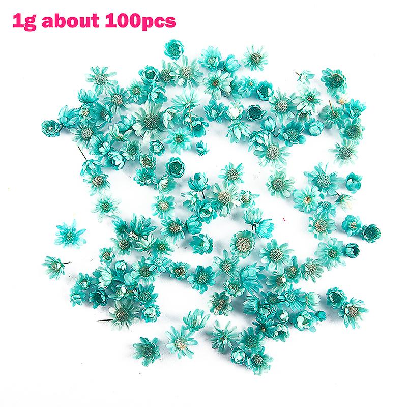 100/500pc Real Dried Flowers Diy Epoxy Resin Candle Making Jewellery Decor Party