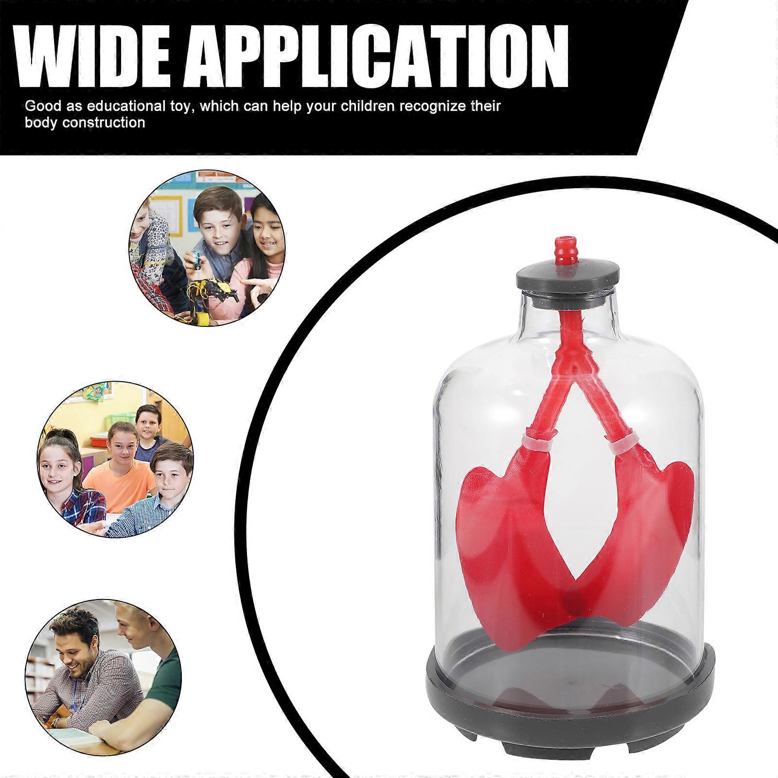 Lung Function Demonstration Model Educational Lung Breathing Model Physiological Teaching Aid