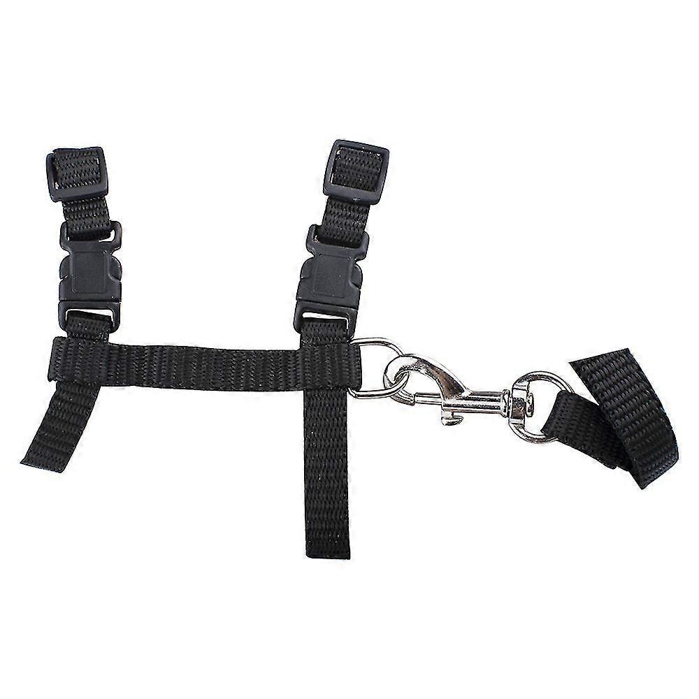 Cat Harness,Adjustable Design Nylon Strap Collar, breakaway cat safety harness