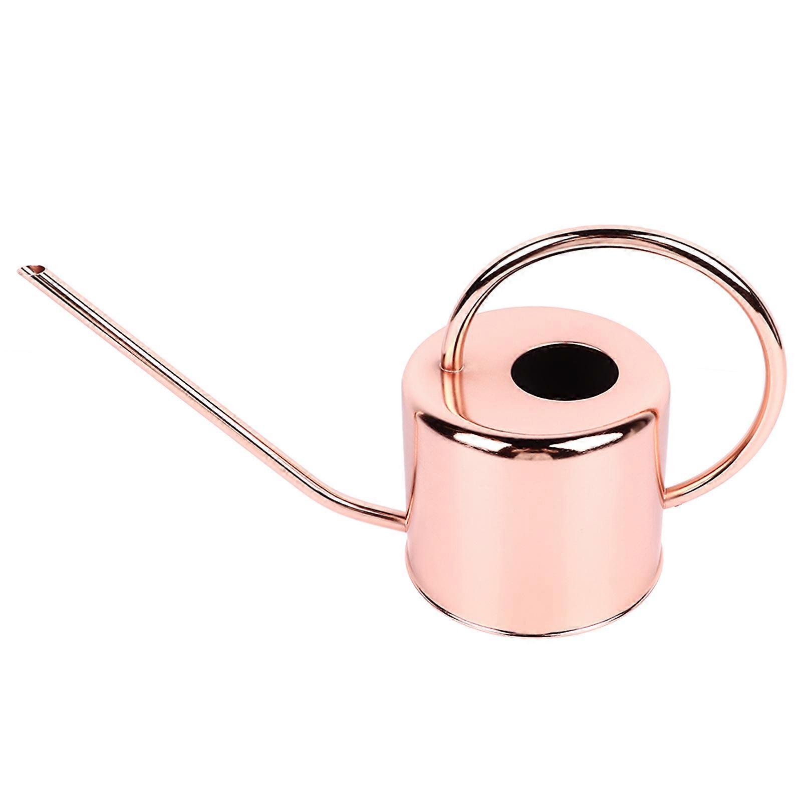 Watering Can Stainless Steel Large Capacity Retro Small Long Spout Water Can for Home Garden