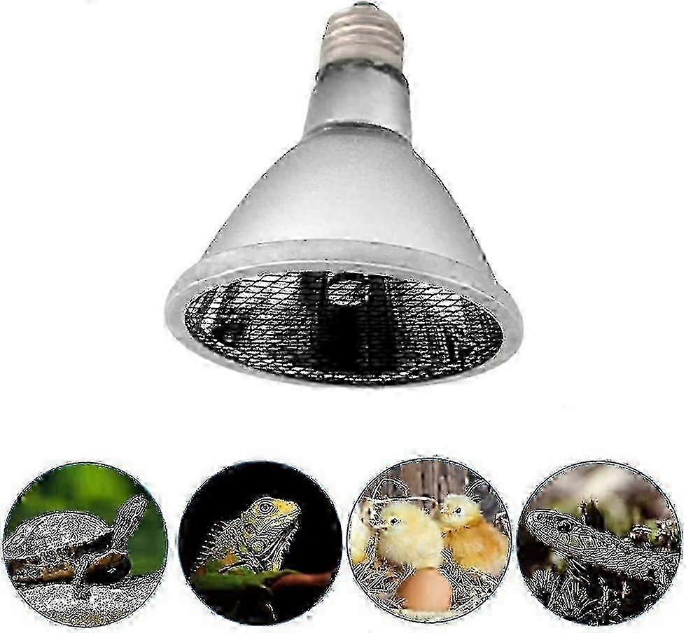 Infrared Heat Lamps for Chicken Coop 60W (E27) Base