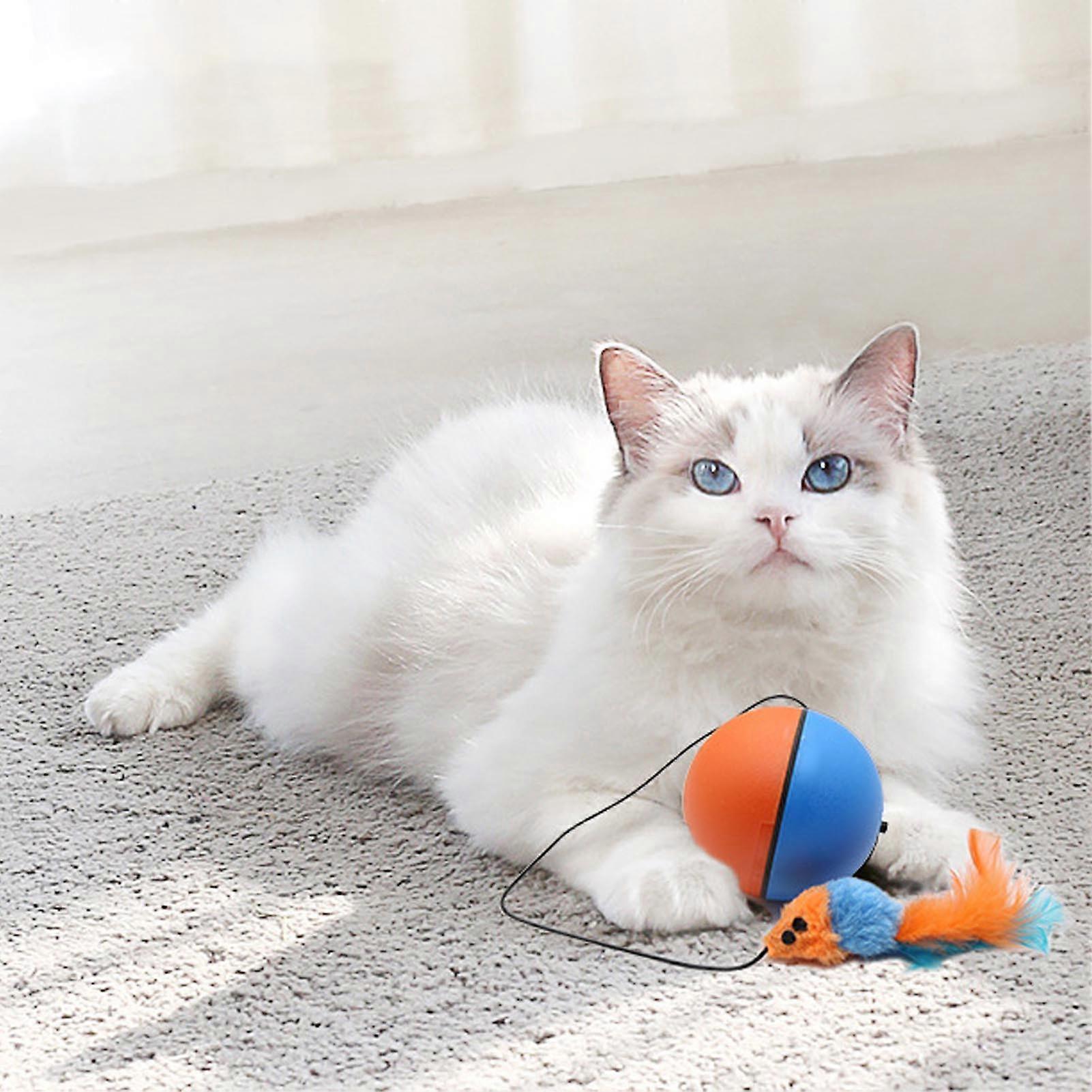 Interactive Electric Cat Ball Toy, Bite-Resistant, Indoor Use