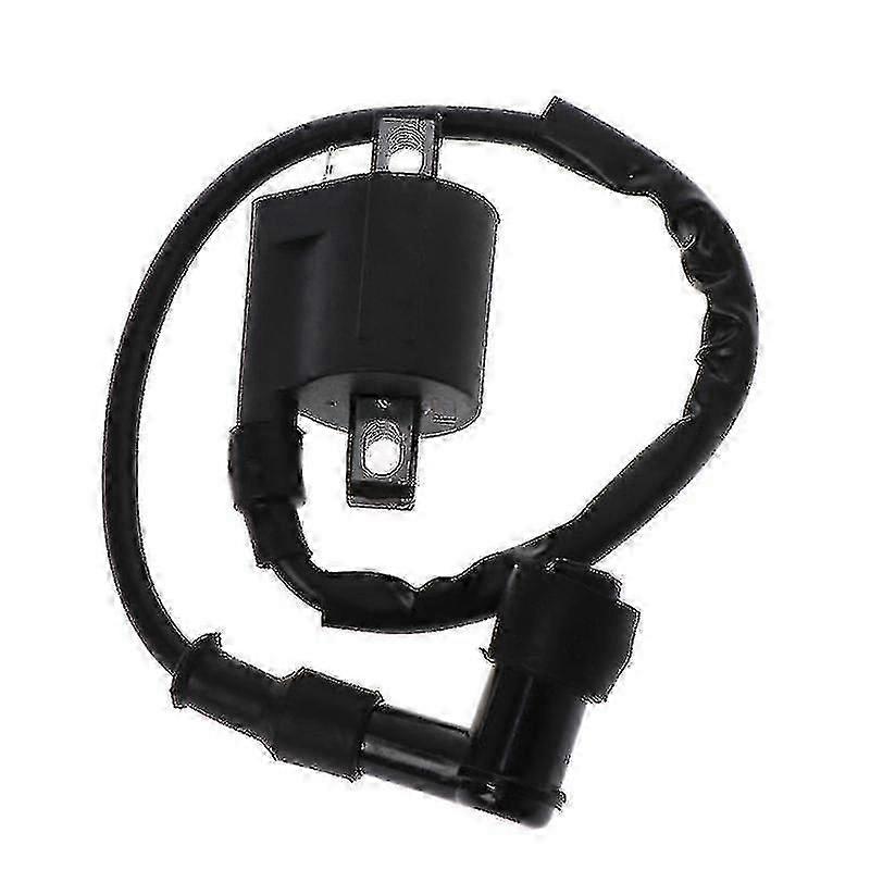 Ignition coil for motorcycle ATV 50cc 150cc 200cc