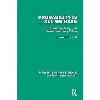 Probability is All We Have Uncertainties Delays and Environmental Policy Making