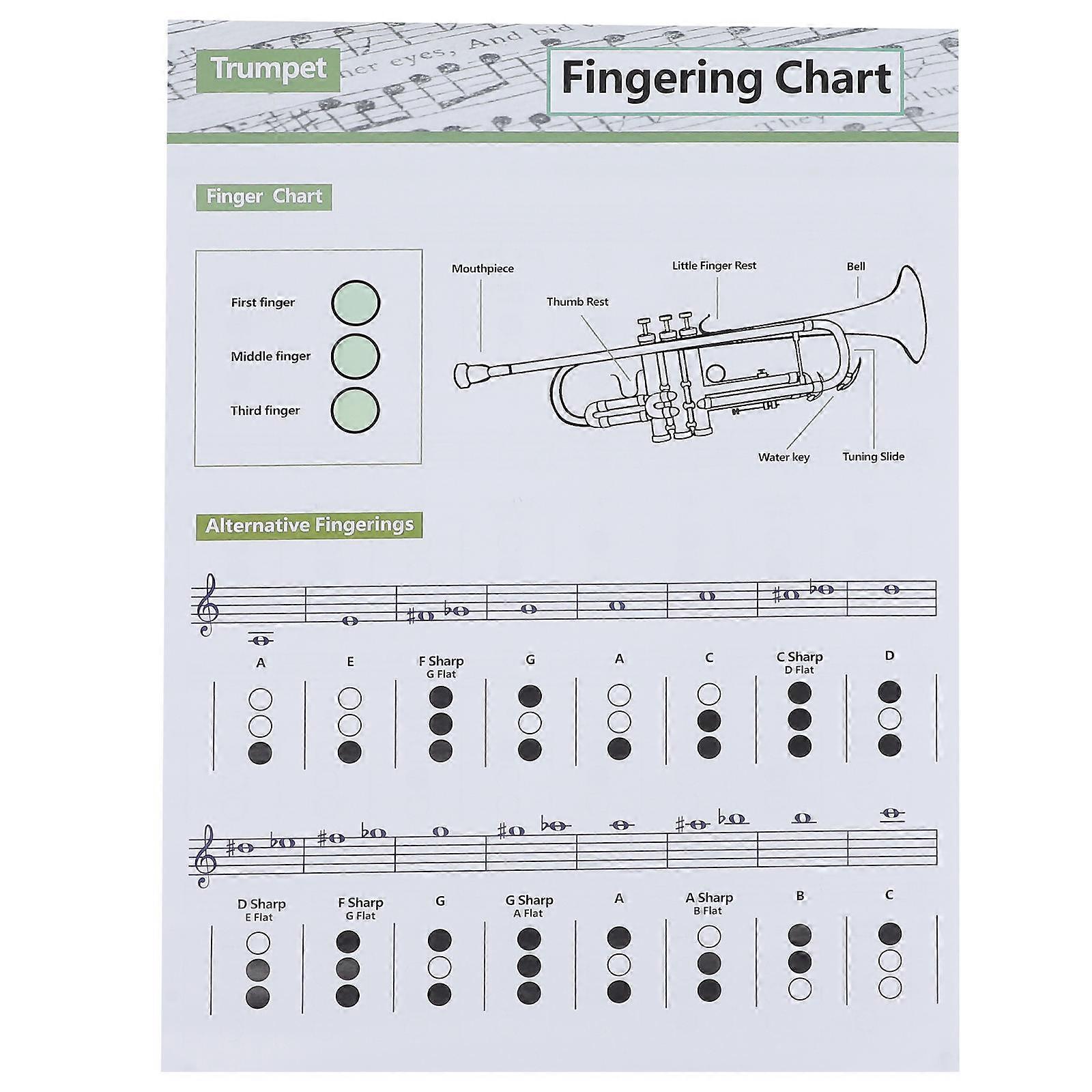 and Chord Chart Trumpet Practice Chart Beginner Finger Guide 1Pcs