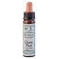 n ° 6 Cherry plum 10 ml