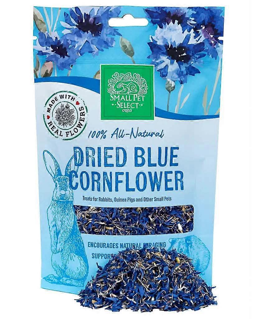 Blue cornflower foraging herbs