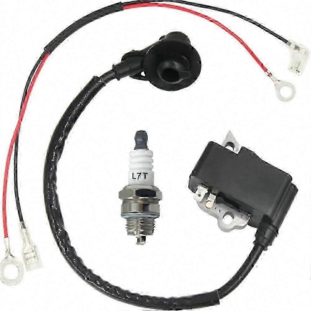 TS410 TS420 Ignition Repair Kit