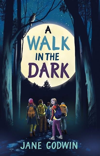 A Walk In The Dark by Jane Godwin Paperback