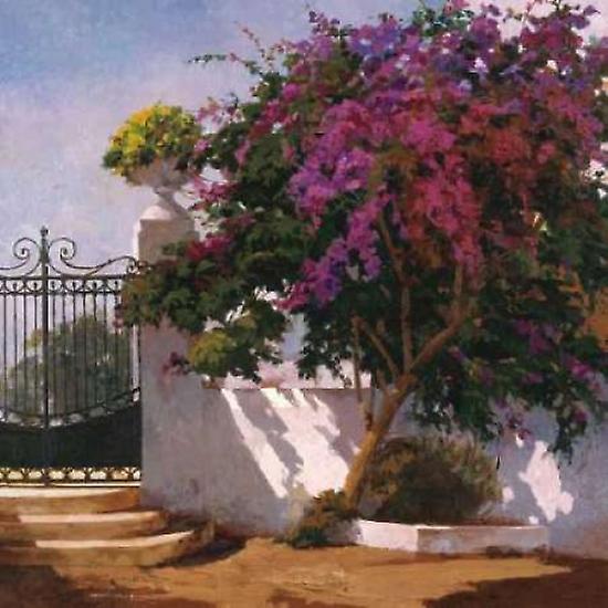 Menorca Ev Posteri