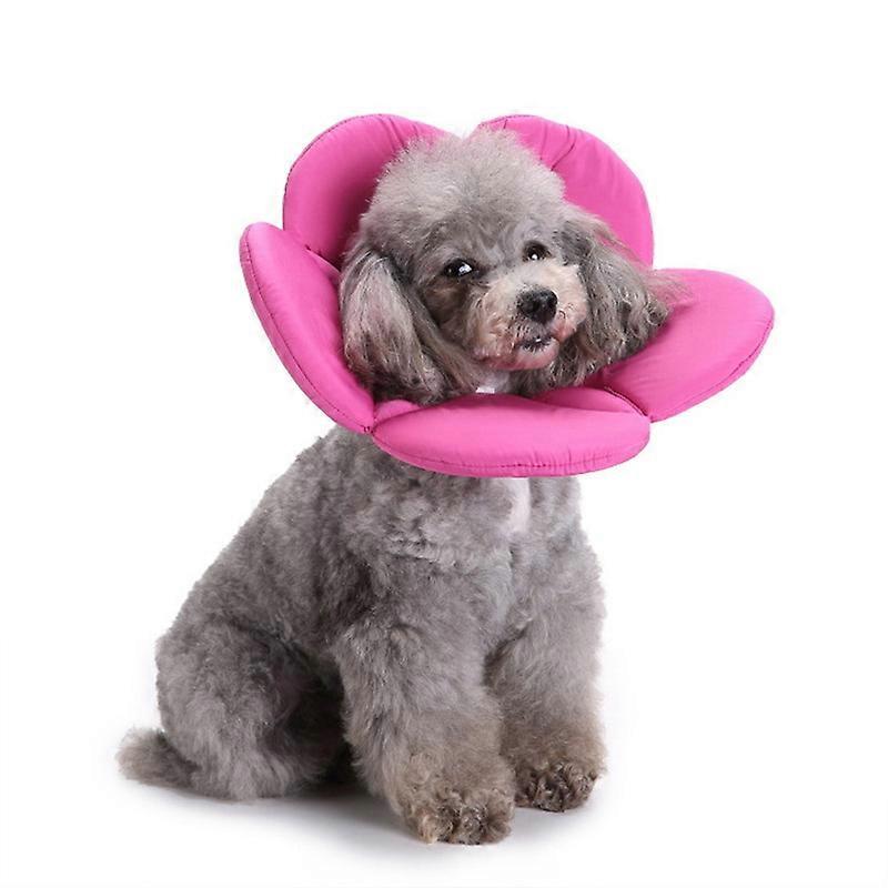 MIMIGO Pets Cartoon Soft Recovery Collar Recovery Protective Pet Cone Wound Healing (for Dogs and Cats)