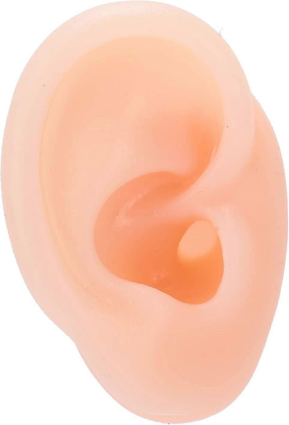 Human Ear Model, Soft Silicone Ear Model Life Size Acupuncture Practice Model, Simulation Human Right Ear Artificial Display Model