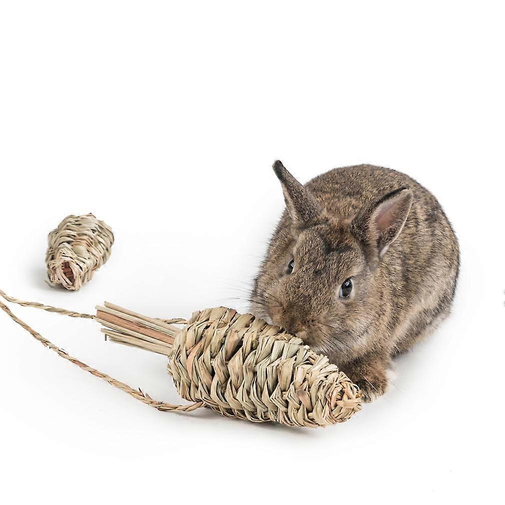 Pet Rabbit Boredom Toy Bite Straw Hanging Foraging Grass Ball