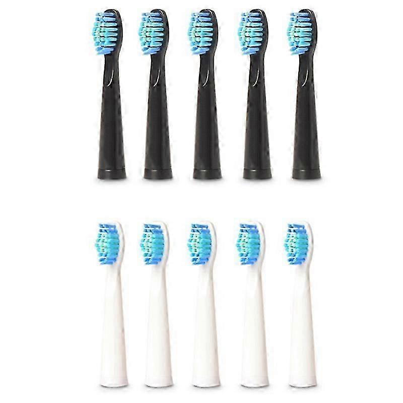 10ks elektrické hlavy zubních kartáčků pro Fw-507 / 508 / 551 / 917 / 959, fw-d1 / fw-d3 / fw-d7 / fw-d8