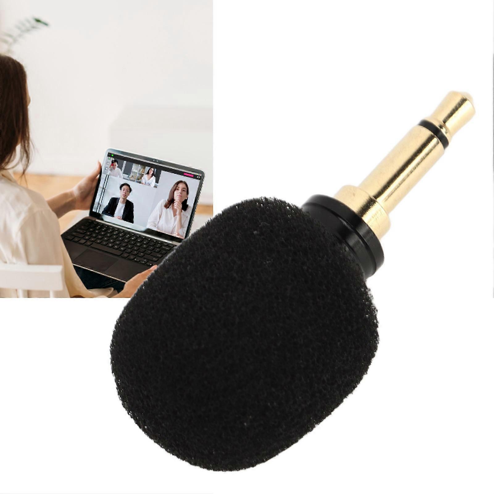Mini Microphone Noise Reduction Low Delay Tiny Vocal Microphone for Voice Recording Chatting and Singing On Phone 