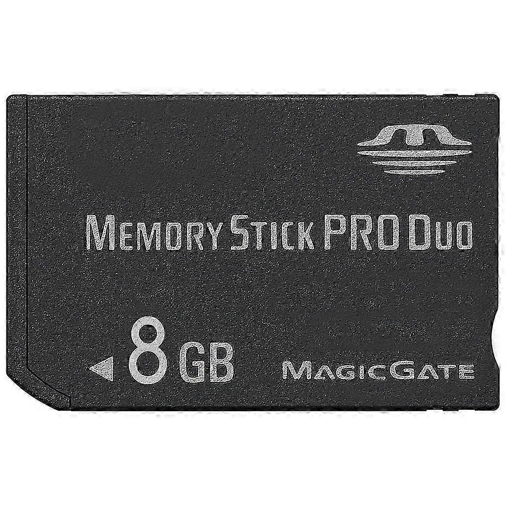 Memory Stick Pro Duo Card (100 Real Capacity)(Black)