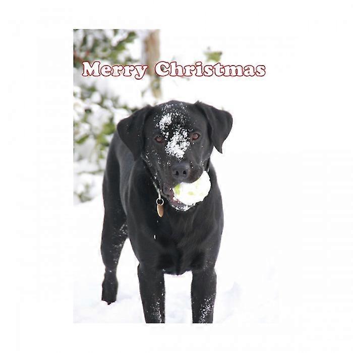 Kevin Milner Labrador In The Snow Christmas Card