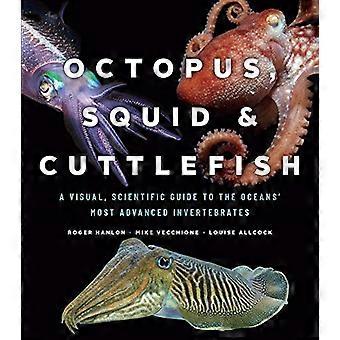 Oktopus, Tintenfisch und Sepia: eine visuelle, wissenschaftliche Anleitung zu den Ozeanen die meisten fortgeschrittenen Wirbellose