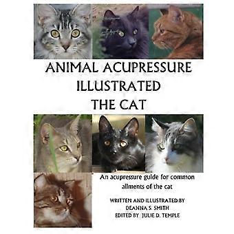La acupresión animal ilustró al gato
