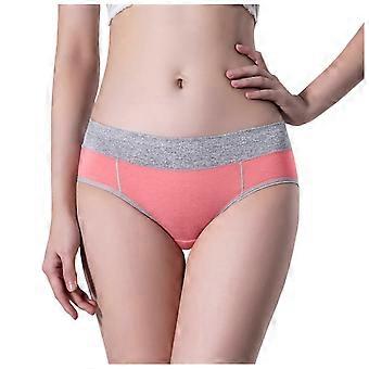 Ensemble de lingerie féminine avec porte-jarretelles, sous-vêtements en dentelle sexy, ceinture 4 pièces