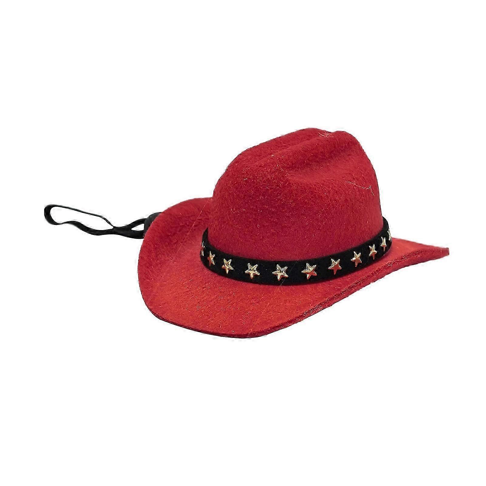Lightweight Pet Cowboy Accessory