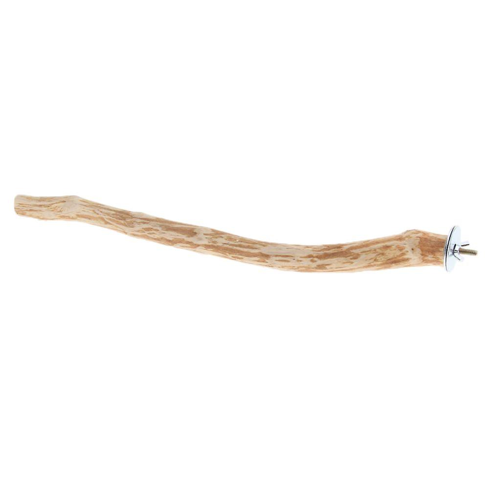 Bird Toy