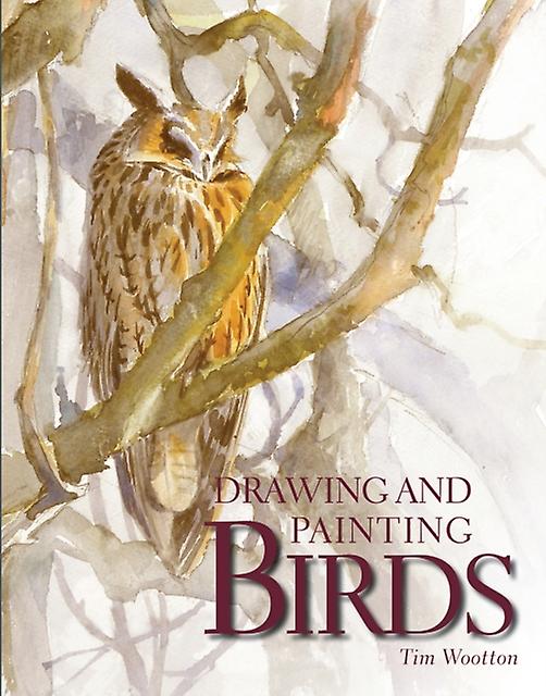 Drawing And Painting Birds by Tim Wootton Paperback Book
