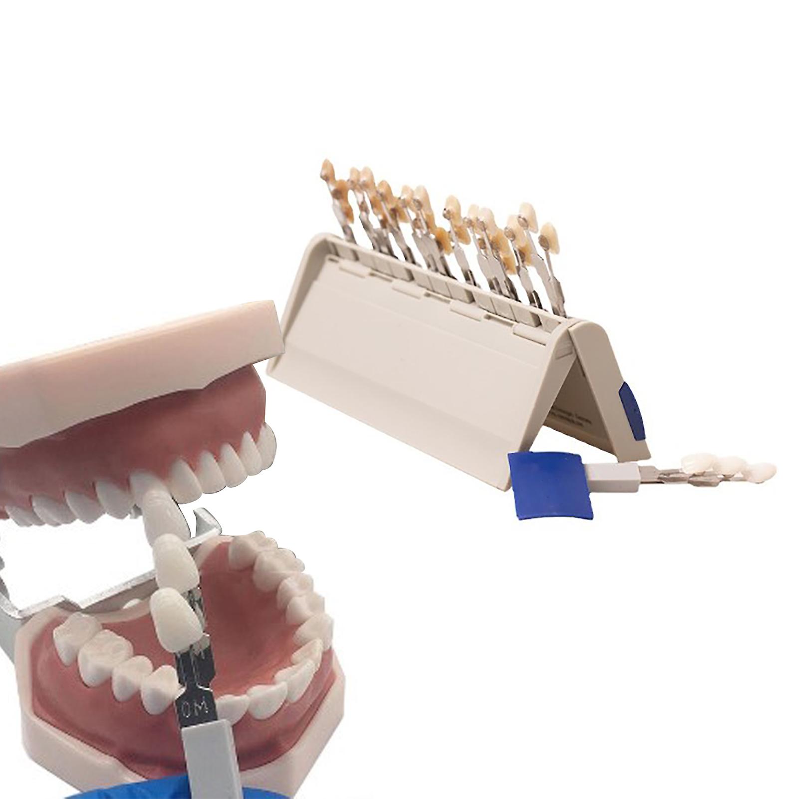 Teeth Whitening Shade Guide 29 Colors Comparison Individually Removable Tooth Bleaching Shade Chart 