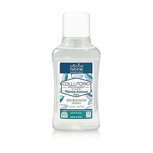 White mint mouthwash 250 ml (Mint)