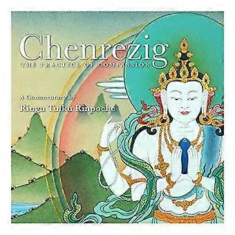 Chenrezig – Die Praxis des Mitgefühls – Ringu Tulku