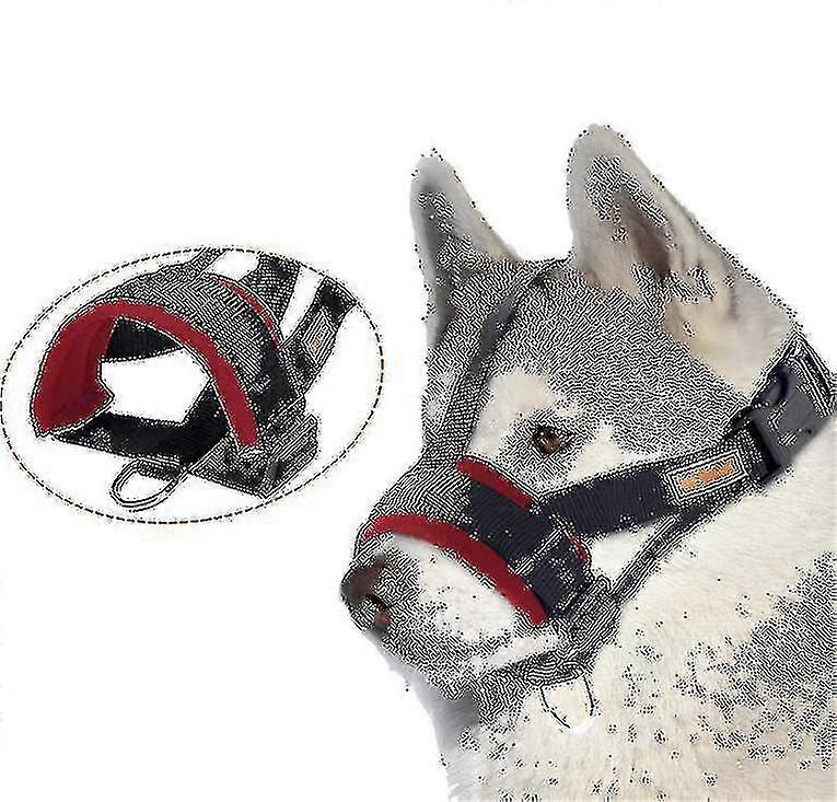 Dog Muzzleanti-biting Barking Secure,soft Mesh Breathable Pets Muzzle For Dogs-yujia